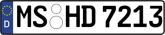 MS-HD7213