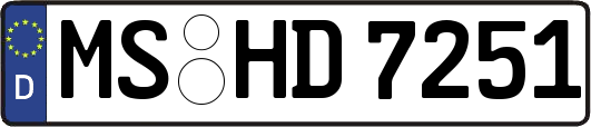 MS-HD7251