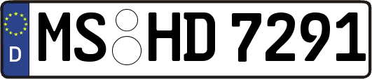 MS-HD7291