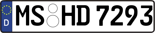 MS-HD7293