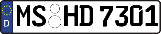 MS-HD7301