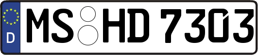 MS-HD7303