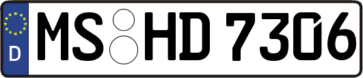 MS-HD7306