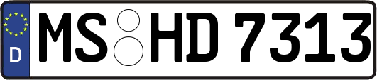 MS-HD7313