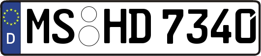 MS-HD7340