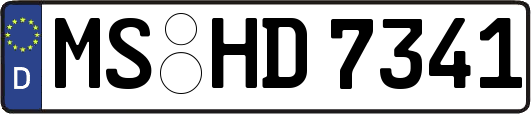 MS-HD7341