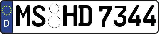 MS-HD7344