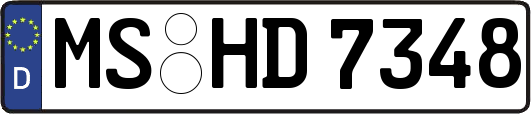 MS-HD7348