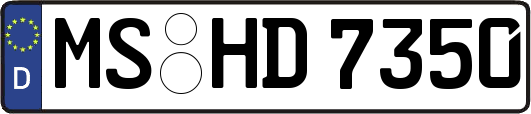 MS-HD7350