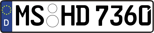 MS-HD7360
