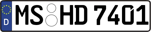 MS-HD7401