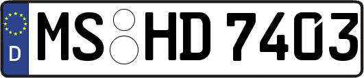 MS-HD7403