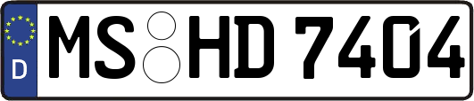 MS-HD7404