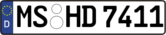 MS-HD7411