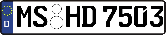 MS-HD7503