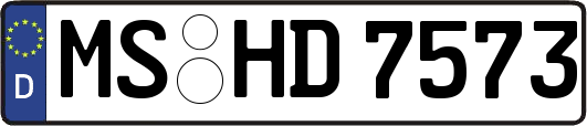 MS-HD7573