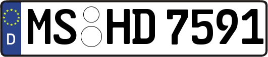 MS-HD7591