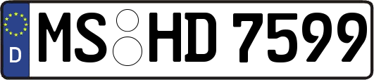 MS-HD7599