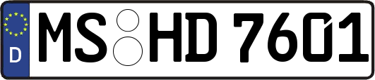 MS-HD7601