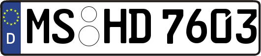 MS-HD7603