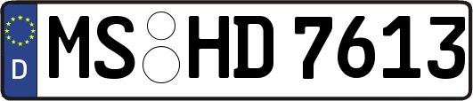 MS-HD7613