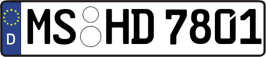 MS-HD7801