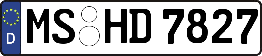 MS-HD7827