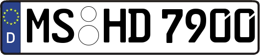 MS-HD7900