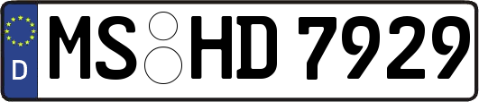 MS-HD7929