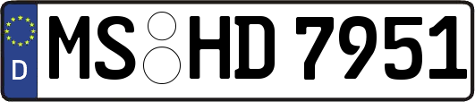 MS-HD7951