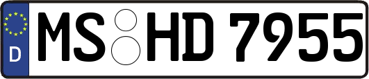 MS-HD7955