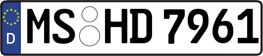 MS-HD7961