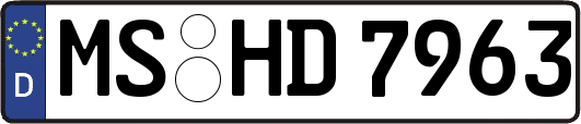 MS-HD7963