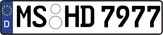 MS-HD7977