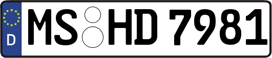 MS-HD7981