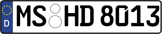 MS-HD8013