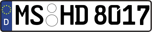 MS-HD8017
