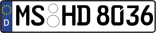 MS-HD8036