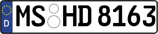 MS-HD8163