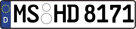 MS-HD8171