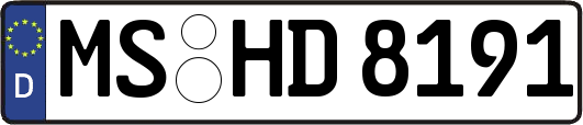 MS-HD8191