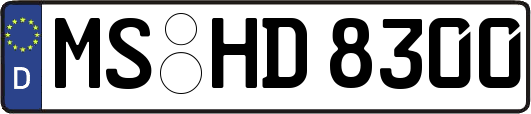 MS-HD8300