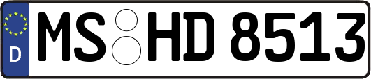 MS-HD8513