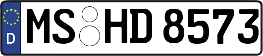 MS-HD8573