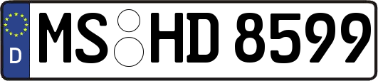MS-HD8599
