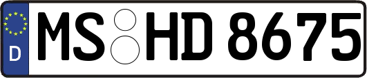 MS-HD8675