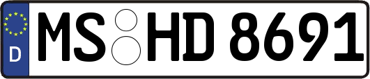 MS-HD8691