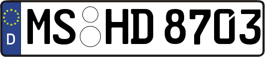 MS-HD8703