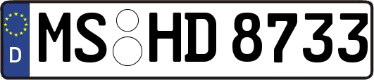 MS-HD8733