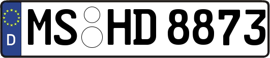 MS-HD8873